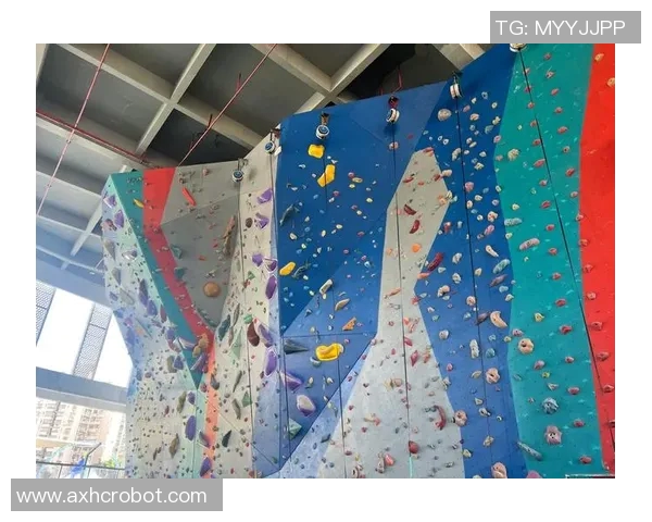 杭州攀岩队荣获全国攀岩技术排行榜第二名展现实力与潜力 杭州攀岩队荣获全国攀岩技术排行榜第二名展现实力与潜力